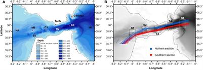 Air-Sea CO2 Exchange in the Strait of Gibraltar